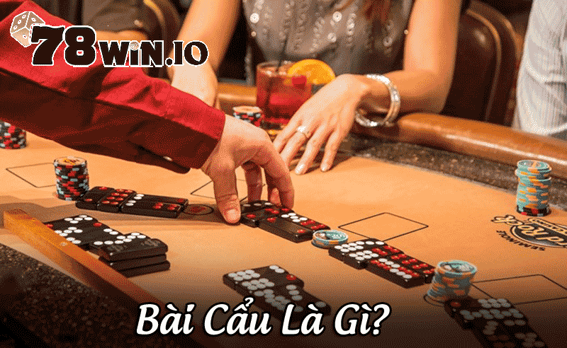 Bài cẩu là gì?