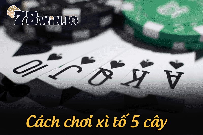 Cách chơi xì tố 5 cây