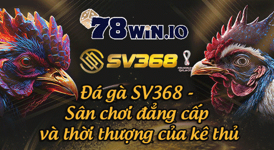 đá gà sv368 sân chơi đẳng cấp và thời thượng