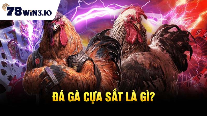 Đá gà cựa sắt là gì?